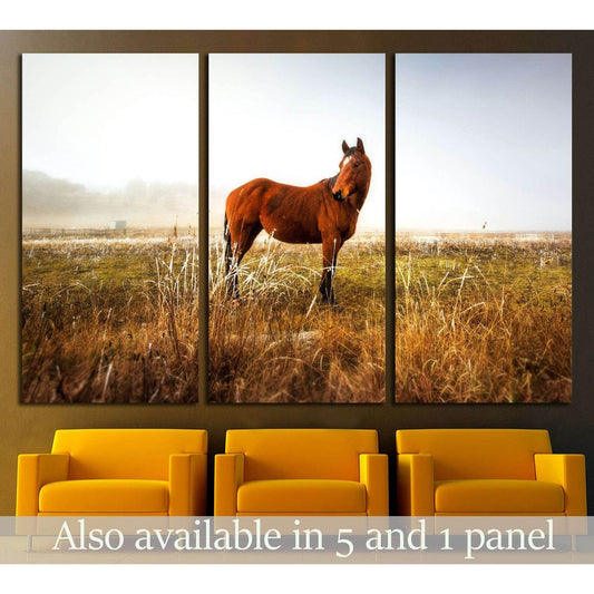 Lonely horse wall art №5003 - Zellart Canvas Prints ALL_Products, Horses, s-5003