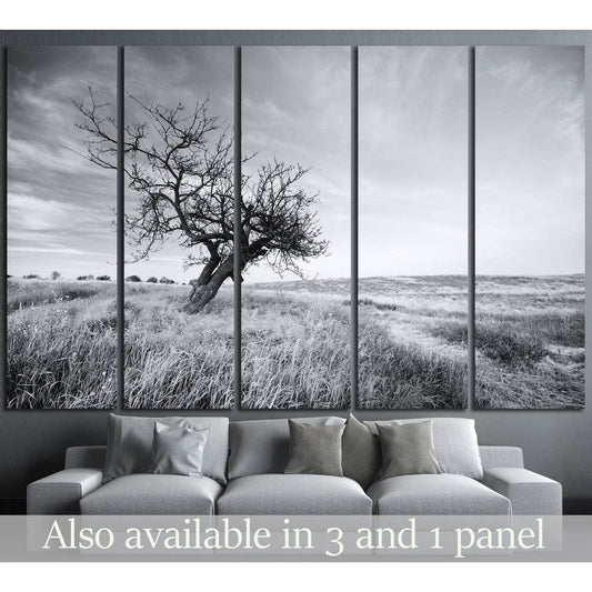 Lonely tree №628 Ready to Hang Canvas Print - Zellart Canvas Prints ALL_Products, s-628