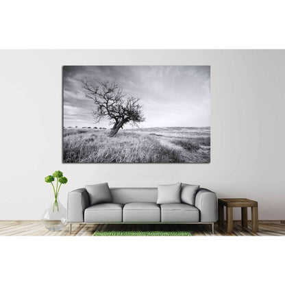 Lonely tree №628 Ready to Hang Canvas Print - Zellart Canvas Prints ALL_Products, s-628