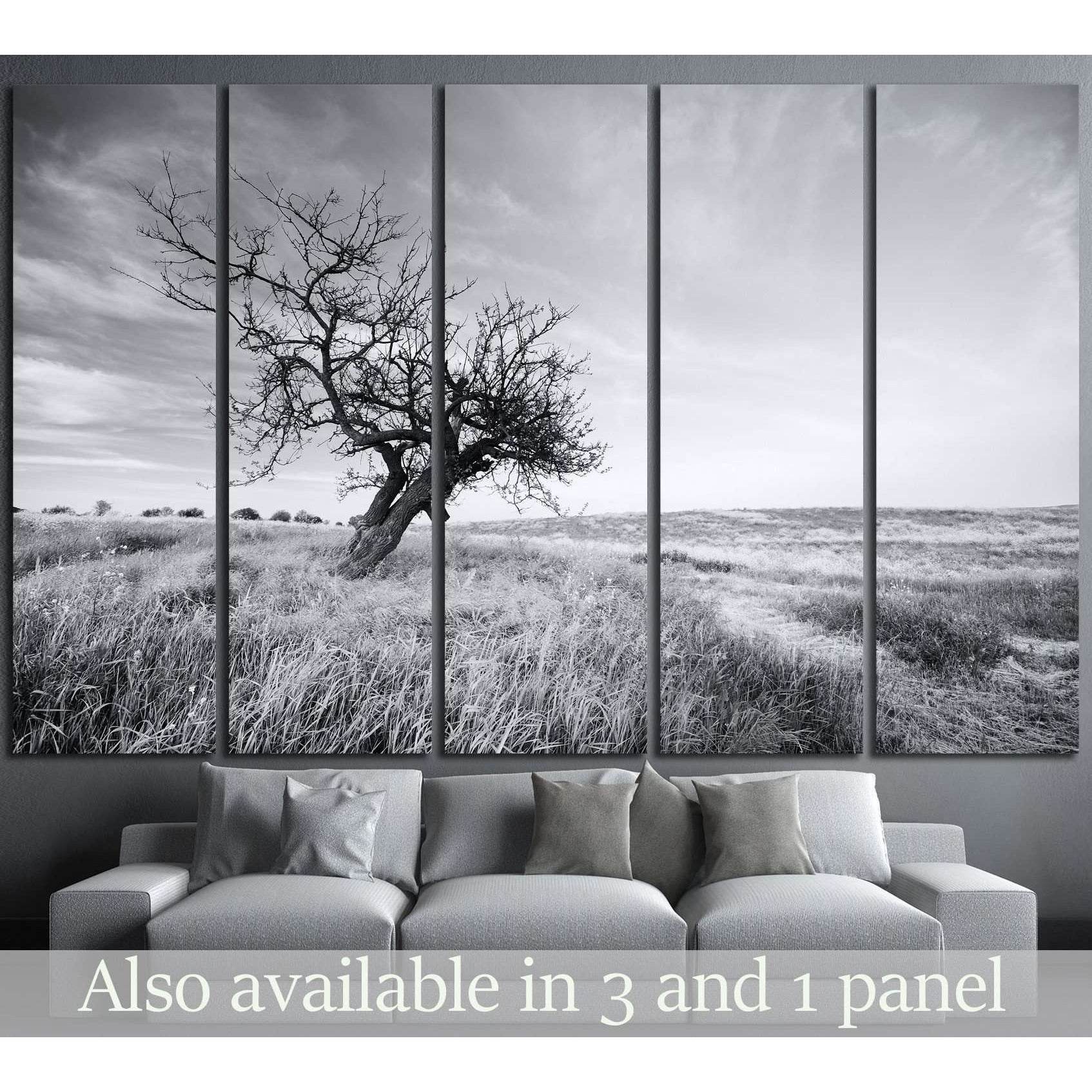 Lonely tree №628 Ready to Hang Canvas Print