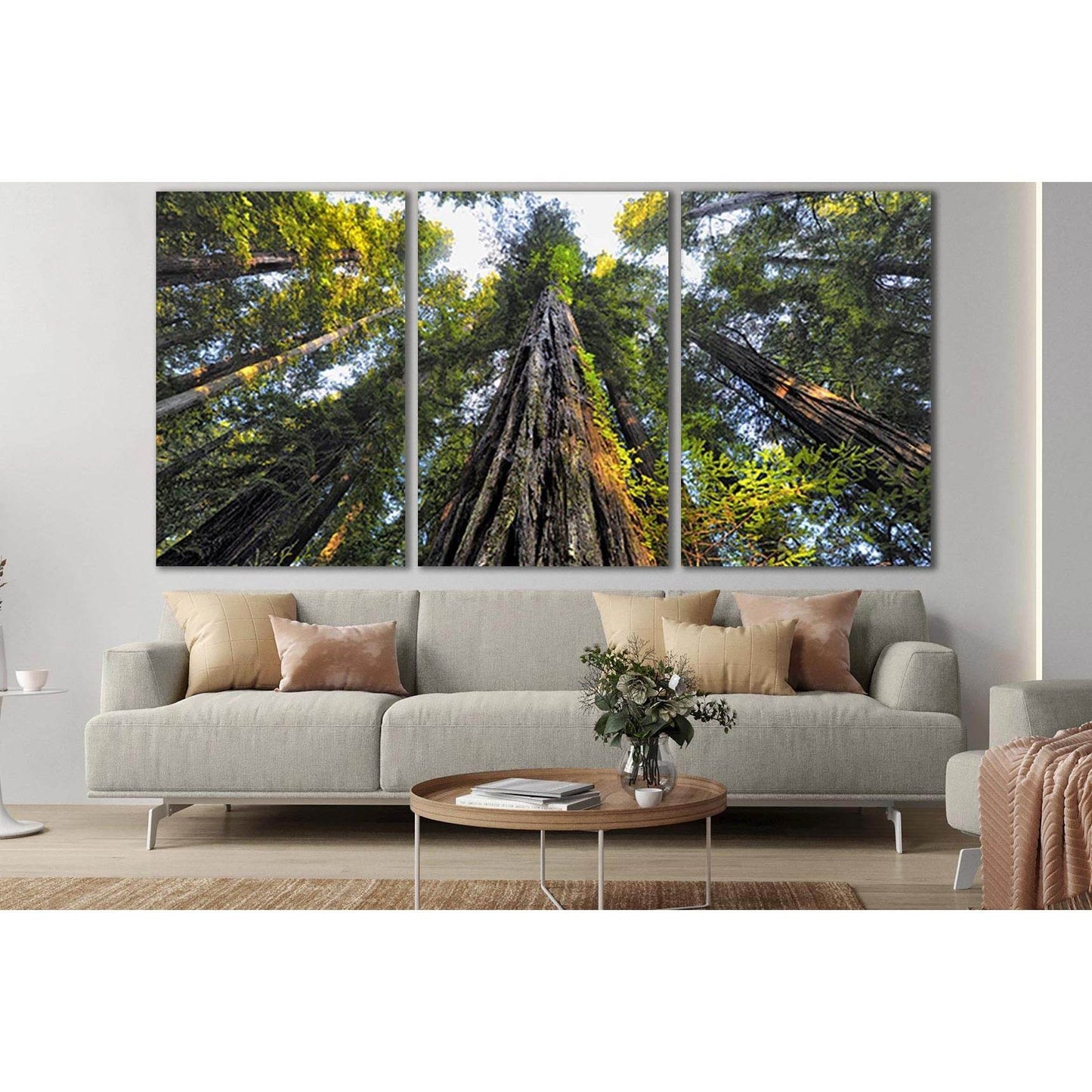 Looking Up At Trees №SL817 Ready to Hang Canvas Print - Zellart Canvas Prints 0new, ALL_Products, Trees Wall Art