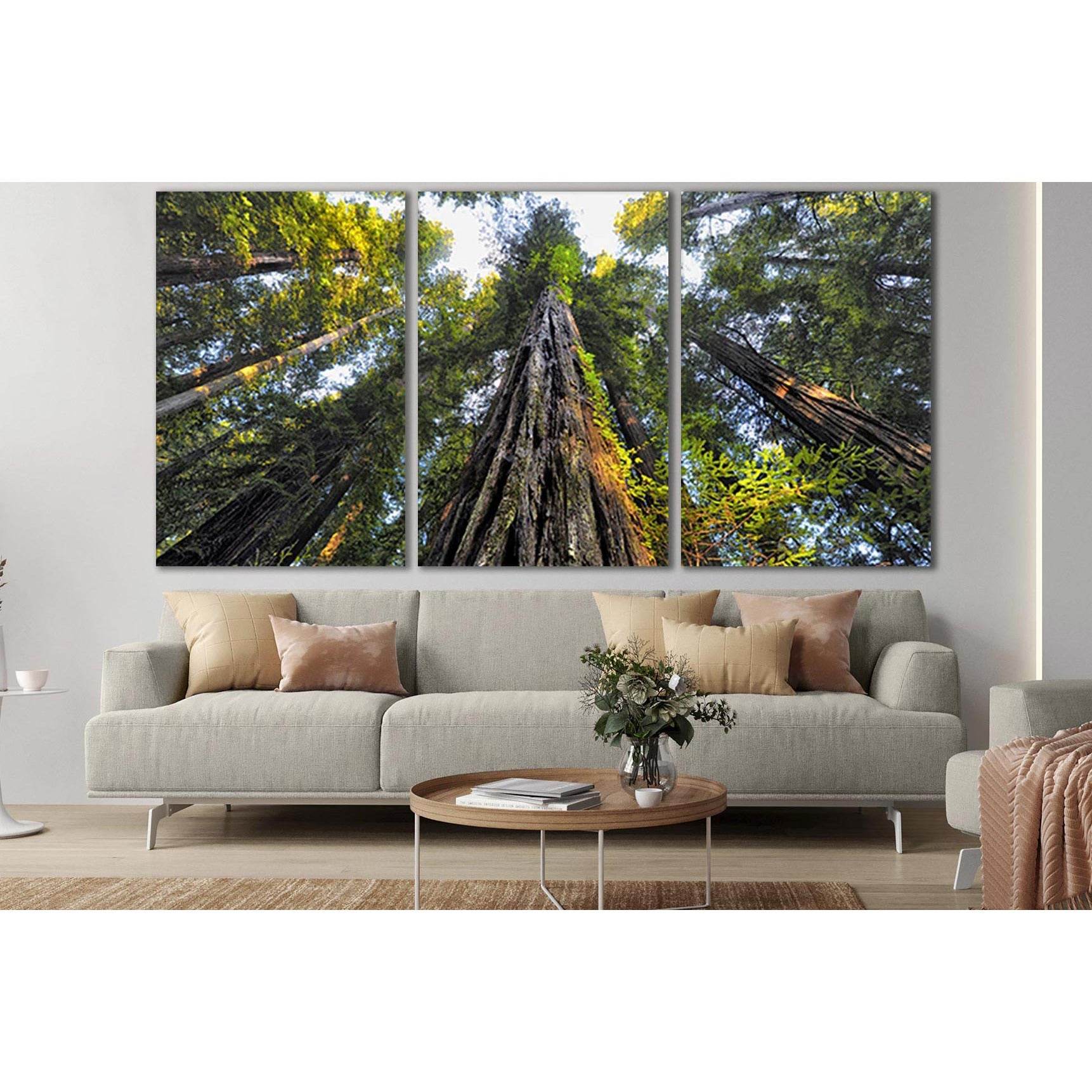Looking Up At Trees №SL817 Ready to Hang Canvas Print - Zellart Canvas Prints 0new, ALL_Products, Trees Wall Art