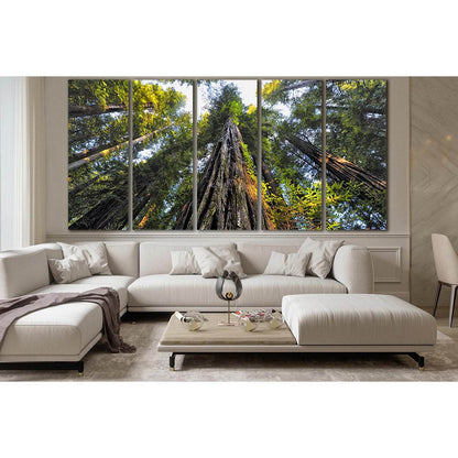 Looking Up At Trees №SL817 Ready to Hang Canvas Print - Zellart Canvas Prints 0new, ALL_Products, Trees Wall Art
