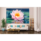 lotus flower in pond №15 Ready to Hang Canvas Print
