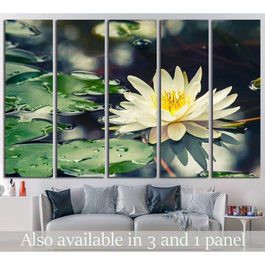 Serene Water Lily Canvas Print for Spa-Like Bathroom DecorThis canvas print depicts a serene water lily, its white and yellow bloom contrasting beautifully with the dark, reflective pond and the lush green lily pads. It's a piece that evokes tranquility a