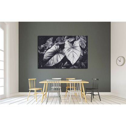 Low key Dark lighting Nature background, green leaves in natural light and shadow №2834 Ready to Hang Canvas Print - Zellart Canvas Prints ALL_Products, s-2834