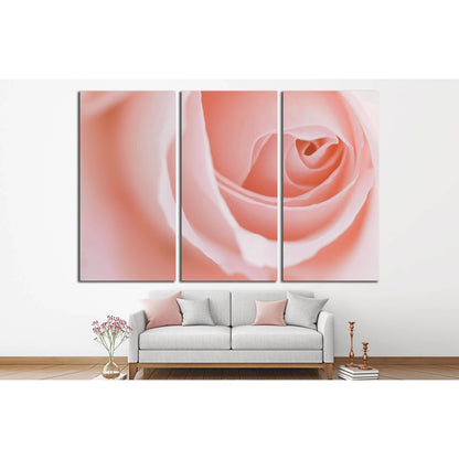 Macro flower beautiful rose for a background image №2746 Ready to Hang Canvas Print - Zellart Canvas Prints ALL_Products, s-2746