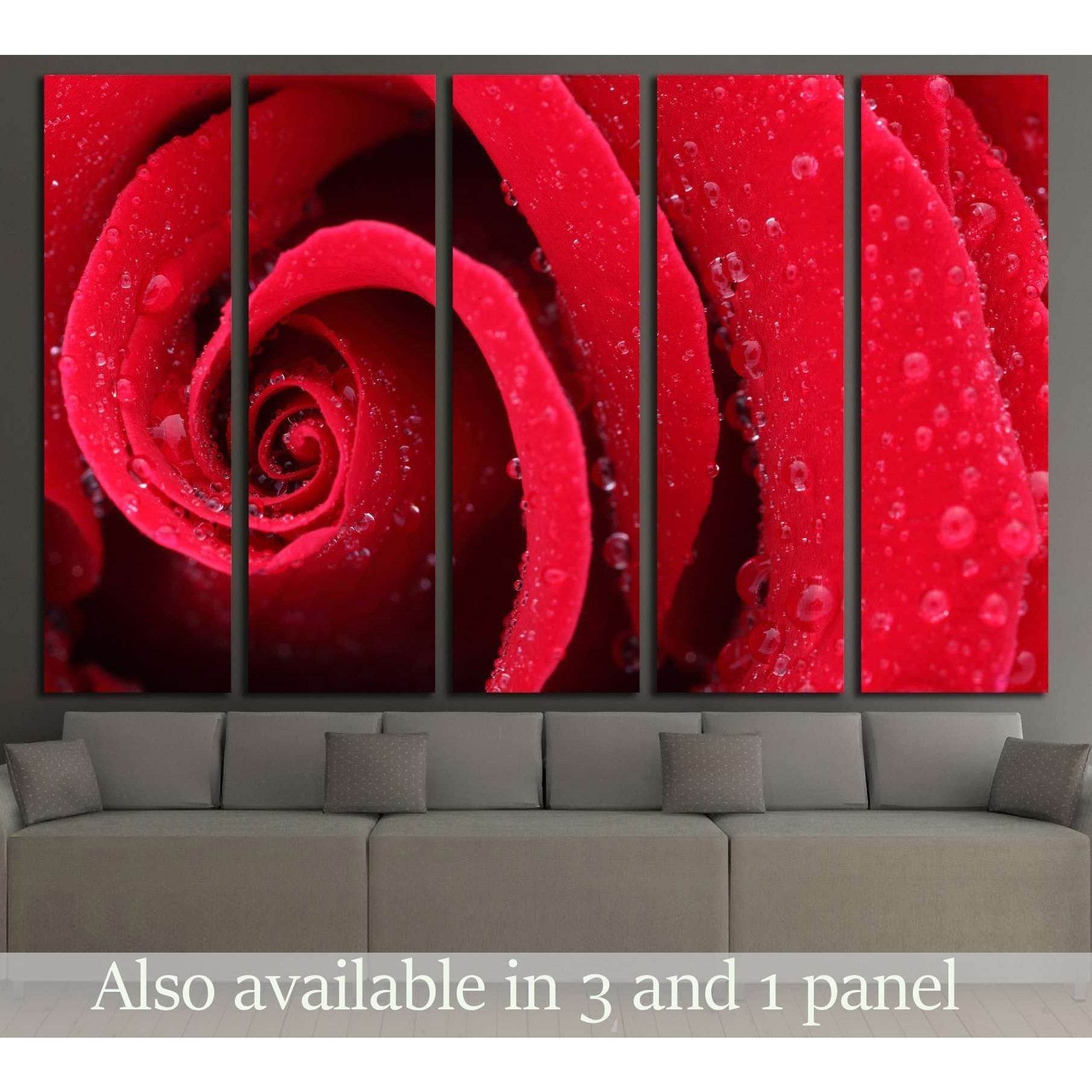 Macro Shot of a Red Rose №2551 Ready to Hang Canvas Print - Zellart Canvas Prints ALL_Products, s-2551