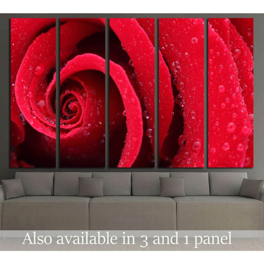 Macro Shot of a Red Rose №2551 Ready to Hang Canvas Print - Zellart Canvas Prints ALL_Products, s-2551