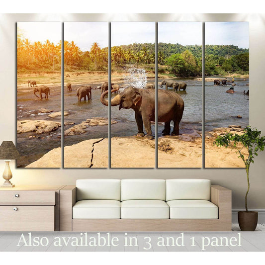 Many Elephants №193 Ready to Hang Canvas Print - Zellart Canvas Prints ALL_Products, Elephant, wd-193