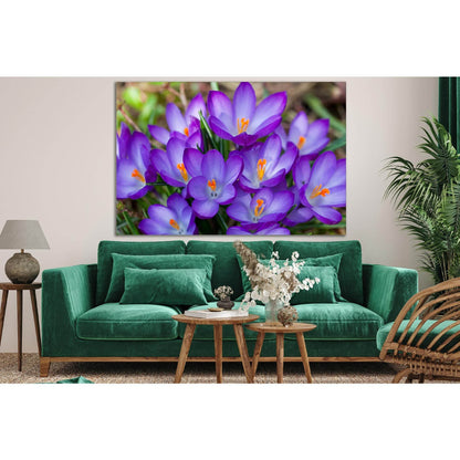 Many Purple Flowers №SL702 Ready to Hang Canvas Print - Zellart Canvas Prints 0new, ALL_Products, Floral & Botanical Wall Art