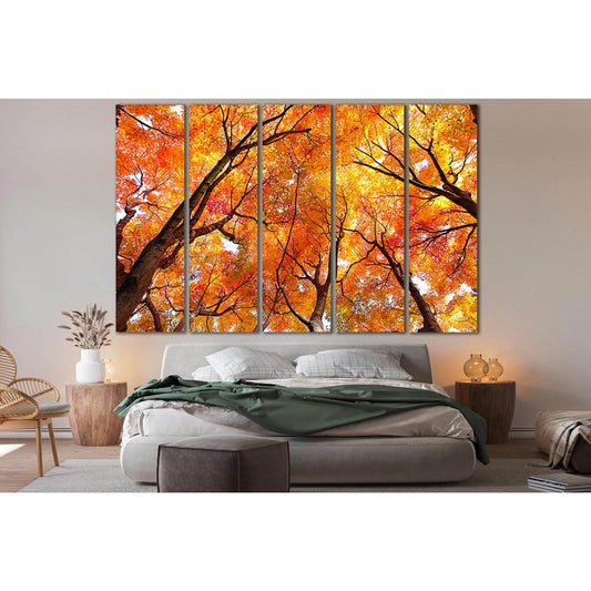 Maple Tree In Autumn №SL656 Ready to Hang Canvas Print - Zellart Canvas Prints 0new, ALL_Products, Autumn Wall Art