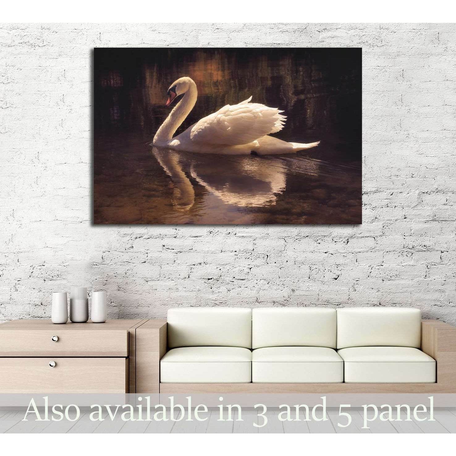 moody image of a beautiful swan swimming №3263 Ready to Hang Canvas Print - Zellart Canvas Prints ALL_Products, s-3263