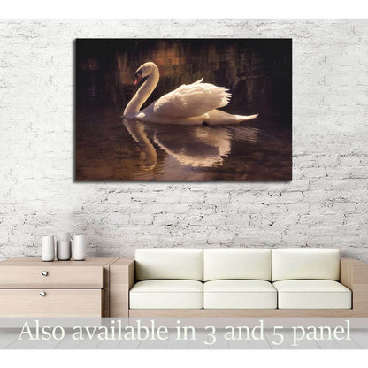 moody image of a beautiful swan swimming №3263 Ready to Hang Canvas Print - Zellart Canvas Prints ALL_Products, s-3263