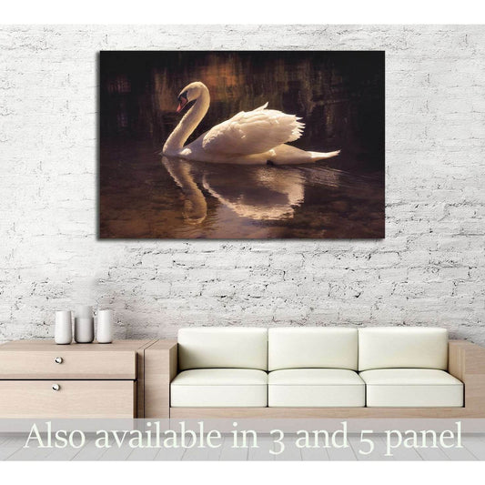 moody image of a beautiful swan swimming №3263 Ready to Hang Canvas Print - Zellart Canvas Prints ALL_Products, s-3263