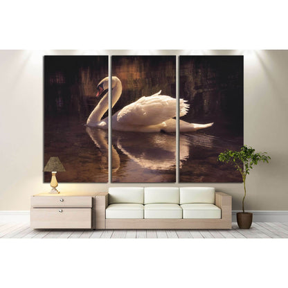 moody image of a beautiful swan swimming №3263 Ready to Hang Canvas Print - Zellart Canvas Prints ALL_Products, s-3263