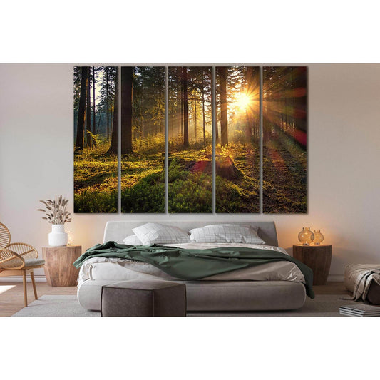 Morning In The Forest №SL1074 Ready to Hang Canvas Print - Zellart Canvas Prints 0new, ALL_Products, Trees Wall Art