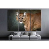 Mountain lion , cougar, puma portrait in motion on dark background №1832 Ready to Hang Canvas Print