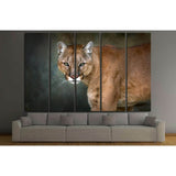 Mountain lion , cougar, puma portrait in motion on dark background №1832 Ready to Hang Canvas Print