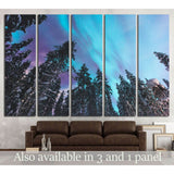 multicolored green vibrant Aurora Borealis, Aurora Polaris, Norway, Scandinavia №1911 Ready to Hang Canvas Print
