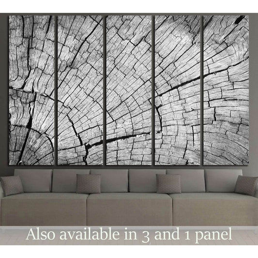 Old Gray cracked wood texture background №2836 Ready to Hang Canvas PrintCanvas art arrives ready to hang, with hanging accessories included and no additional framing required. Every canvas print is hand-crafted, made on-demand at our workshop and expertl