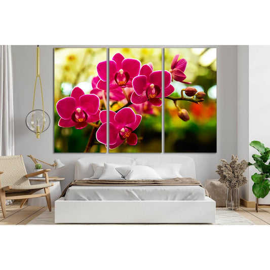 Orchid Flower In Tropical Garden №SL715 Ready to Hang Canvas Print - Zellart Canvas Prints 0new, ALL_Products, Floral & Botanical Wall Art