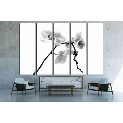 orchid on a white background orchid on a white background №2835 Ready to Hang Canvas PrintCanvas art arrives ready to hang, with hanging accessories included and no additional framing required. Every canvas print is hand-crafted, made on-demand at our wor