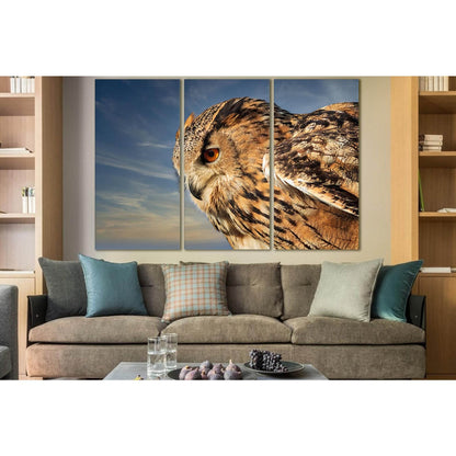 Owl Close Up №SL1027 Ready to Hang Canvas Print - Zellart Canvas Prints 0new, ALL_Products, Animals & Wildlife, Owl