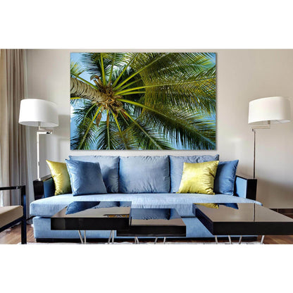 Palm Top Bottom View №SL1062 Ready to Hang Canvas Print - Zellart Canvas Prints 0new, ALL_Products, Trees Wall Art