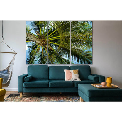 Palm Top Bottom View №SL1062 Ready to Hang Canvas Print - Zellart Canvas Prints 0new, ALL_Products, Trees Wall Art