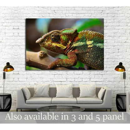 Panther chameleon №2787 Ready to Hang Canvas Print - Zellart Canvas Prints ALL_Products, s-2787