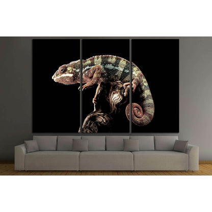 Panther Chameleon with black background №2804 Ready to Hang Canvas PrintCanvas art arrives ready to hang, with hanging accessories included and no additional framing required. Every canvas print is hand-crafted, made on-demand at our workshop and expertly