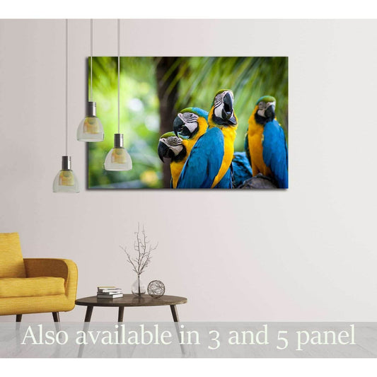 parrot bird sitting on the perch №2790 Ready to Hang Canvas Print - Zellart Canvas Prints ALL_Products, s-2790