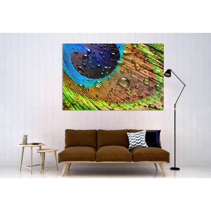 Peacock Feathers №3023 Ready to Hang Canvas Print - Zellart Canvas Prints ALL_Products, z-3023