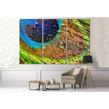 Peacock Feathers №3023 Ready to Hang Canvas Print - Zellart Canvas Prints ALL_Products, z-3023