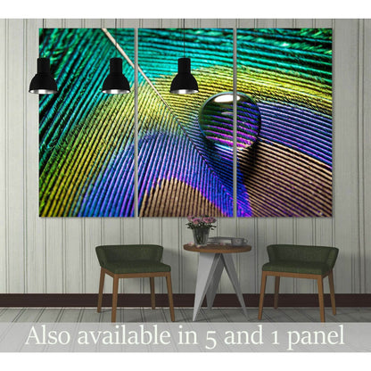 Peacock Feathers №3024 Ready to Hang Canvas Print - Zellart Canvas Prints ALL_Products, z-3024