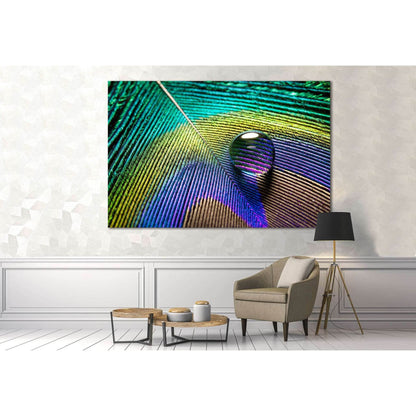 Peacock Feathers №3024 Ready to Hang Canvas Print - Zellart Canvas Prints ALL_Products, z-3024