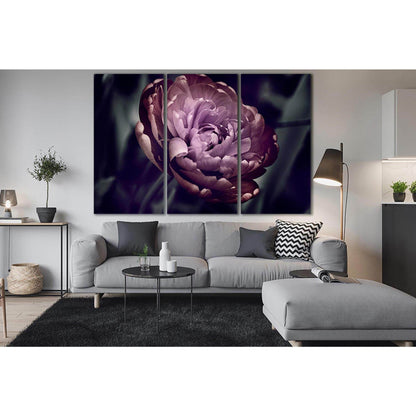 Peony In The Garden №SL703 Ready to Hang Canvas Print - Zellart Canvas Prints 0new, ALL_Products, Floral & Botanical Wall Art