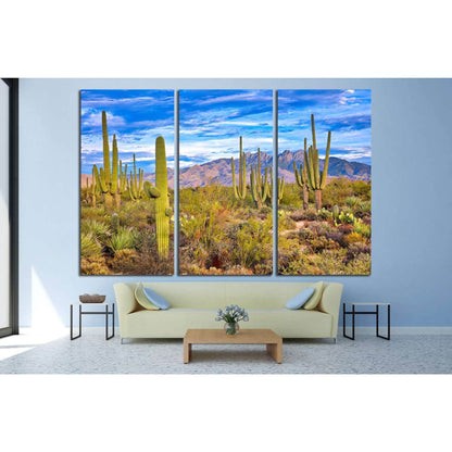 Phoenix, Arizona №1008 Ready to Hang Canvas Print - Zellart Canvas Prints ALL_Products, s-1008