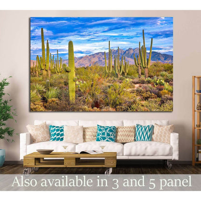 Phoenix, Arizona №1008 Ready to Hang Canvas Print - Zellart Canvas Prints ALL_Products, s-1008