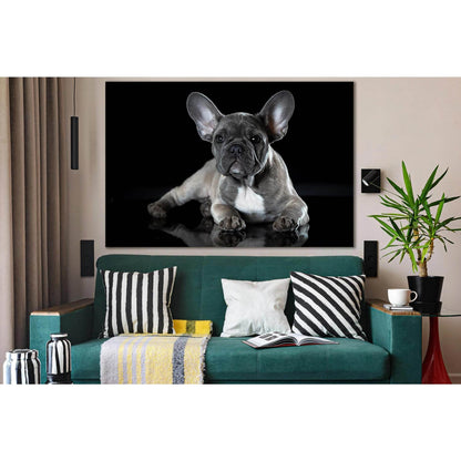 Photo Of French Bulldog №SL1050 Ready to Hang Canvas Print - Zellart Canvas Prints 0new, ALL_Products, Animals & Wildlife