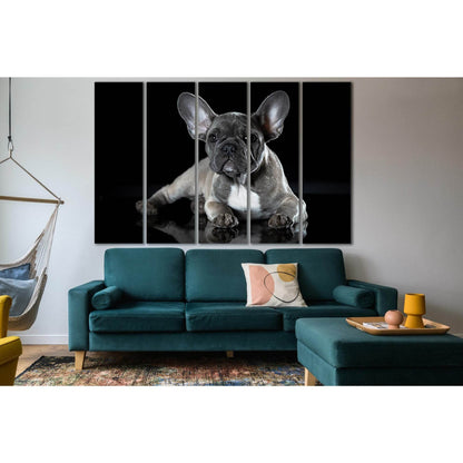 Photo Of French Bulldog №SL1050 Ready to Hang Canvas Print - Zellart Canvas Prints 0new, ALL_Products, Animals & Wildlife