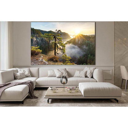 Pine Tree Towering On The Rock №SL794 Ready to Hang Canvas Print - Zellart Canvas Prints 0new, ALL_Products, Trees Wall Art