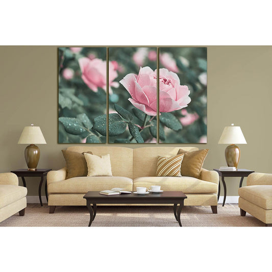 Pink Roses Flower In The Garden №SL711 Ready to Hang Canvas Print - Zellart Canvas Prints 0new, ALL_Products, Floral & Botanical Wall Art
