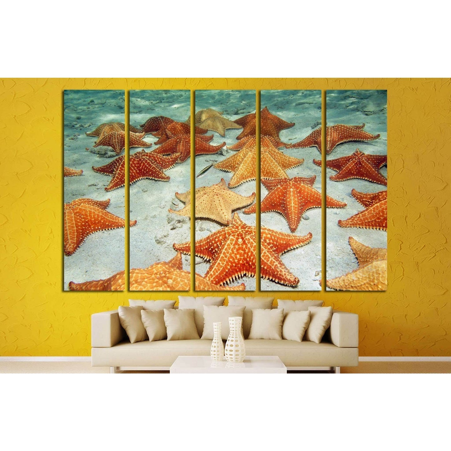 Plenty of cushion starfish on a sandy ocean floor №1395 Ready to Hang Canvas Print - Zellart Canvas Prints ALL_Products, s-1395