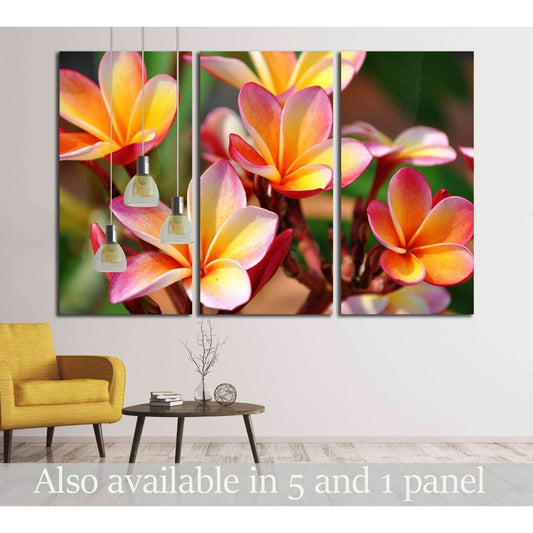 Plumeria. Beautiful pink inflorescence. №2556 Ready to Hang Canvas PrintCanvas art arrives ready to hang, with hanging accessories included and no additional framing required. Every canvas print is hand-crafted, made on-demand at our workshop and expertly