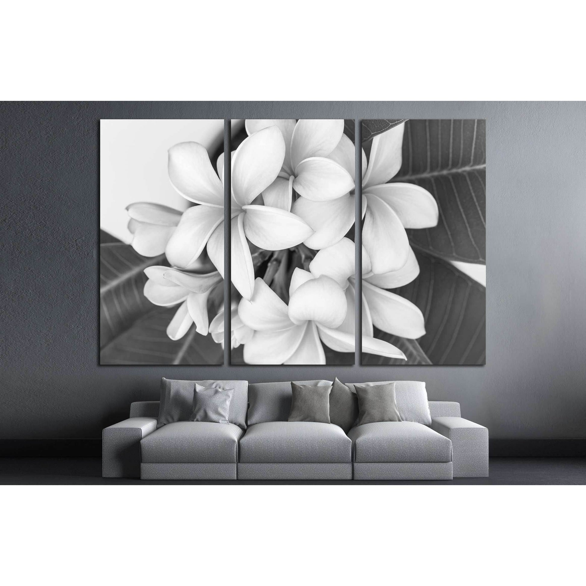 Plumeria or frangipani flower, Tropical flower . Black and white photography. №2839 Ready to Hang Canvas PrintCanvas art arrives ready to hang, with hanging accessories included and no additional framing required. Every canvas print is hand-crafted, made