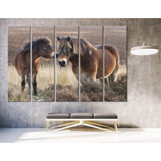 Pony And Horse On Moorland In Exmoor №04231 Ready to Hang Canvas Print - Zellart Canvas Prints ALL_Products, Horses