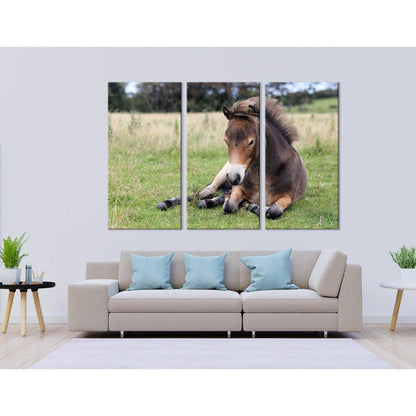 Pony Lying On The Grass In Exmoor №04246 Ready to Hang Canvas Print - Zellart Canvas Prints ALL_Products