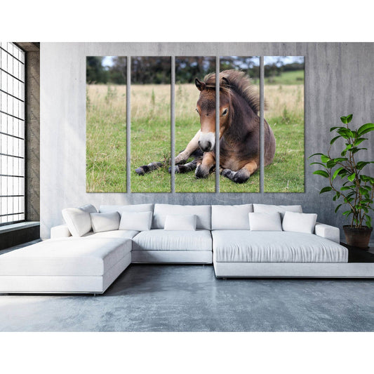 Pony Lying On The Grass In Exmoor №04246 Ready to Hang Canvas Print - Zellart Canvas Prints ALL_Products